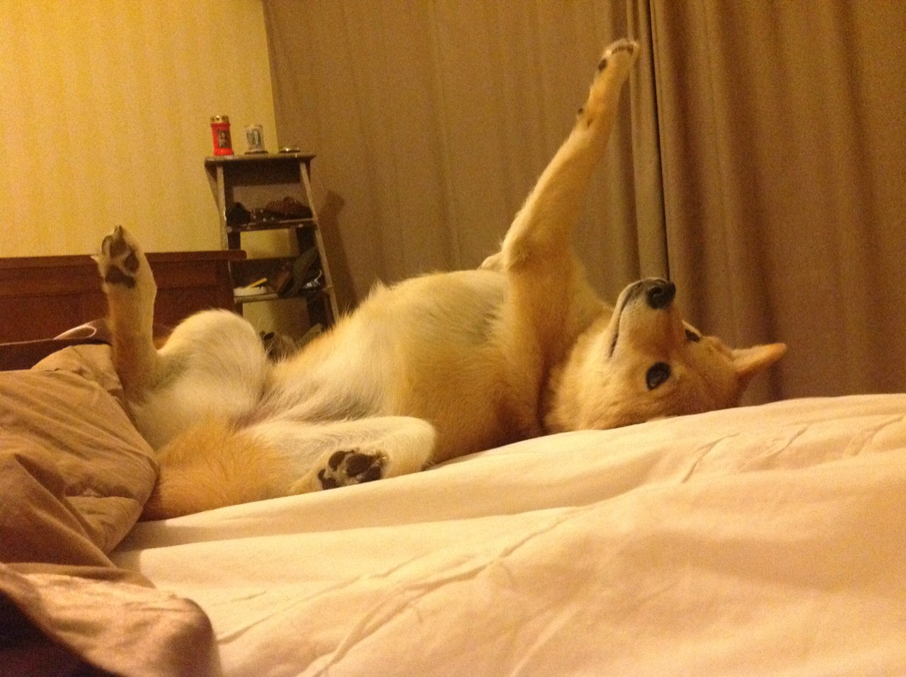 “基层足球振兴工程持续推进,普及基层青训”,足球要从基层抓起