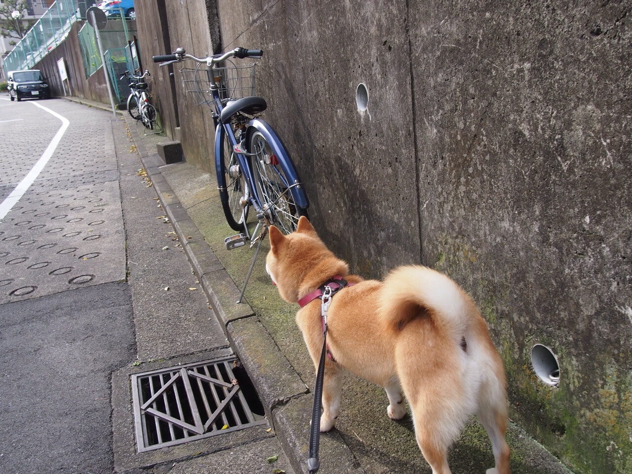AIYOUXI.COM-“未来之星”青少年篮球明星训练营在深圳圆满举办，未来的篮球之星什么意思