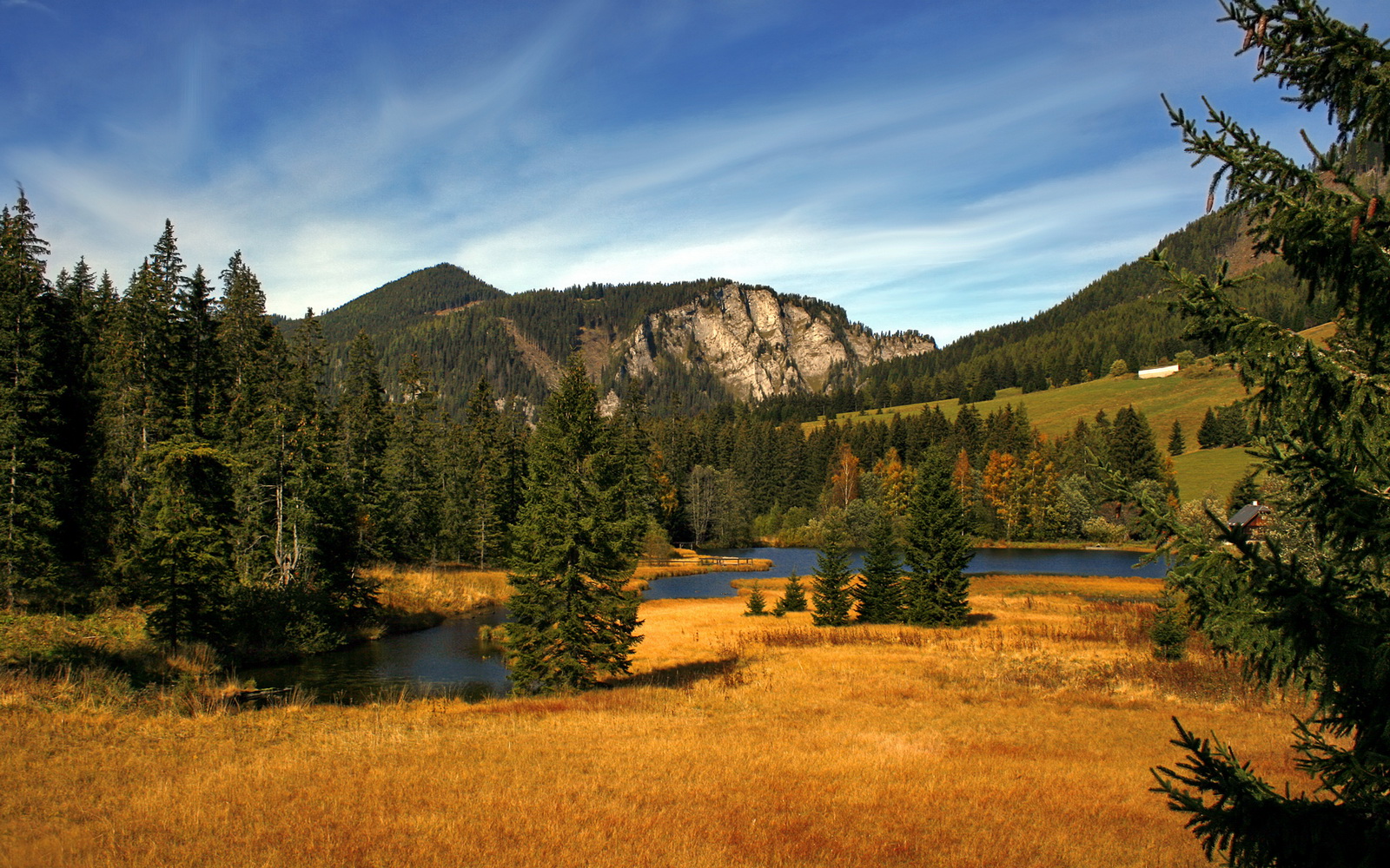 克罗地亚骑手吉塔·日特科维奇在2024年国际马术联合会世界障碍赛中以“Rain in Otago”马匹获得第九名,表现出色。