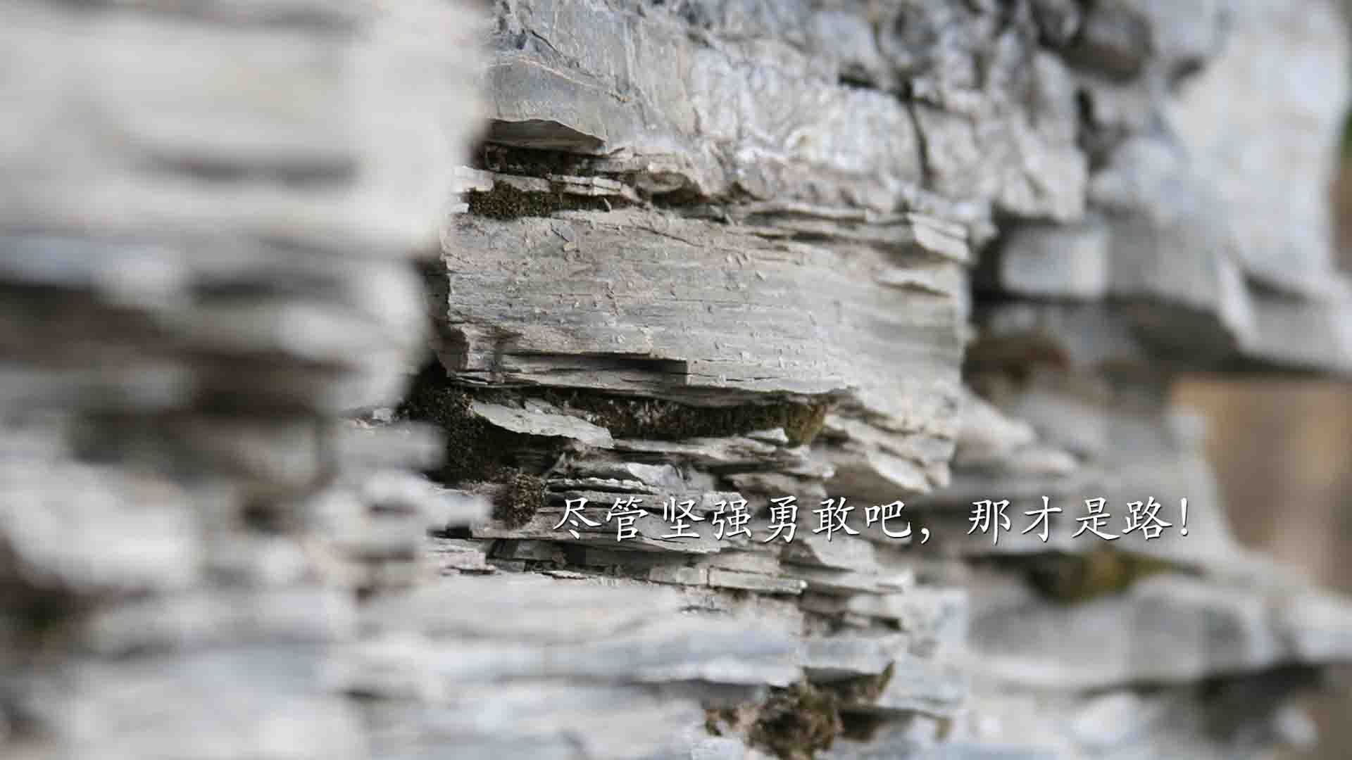 AYX体育-李明全面爆发！砍下31分领衔全场，关键时刻稳住局面！，李明怎么样