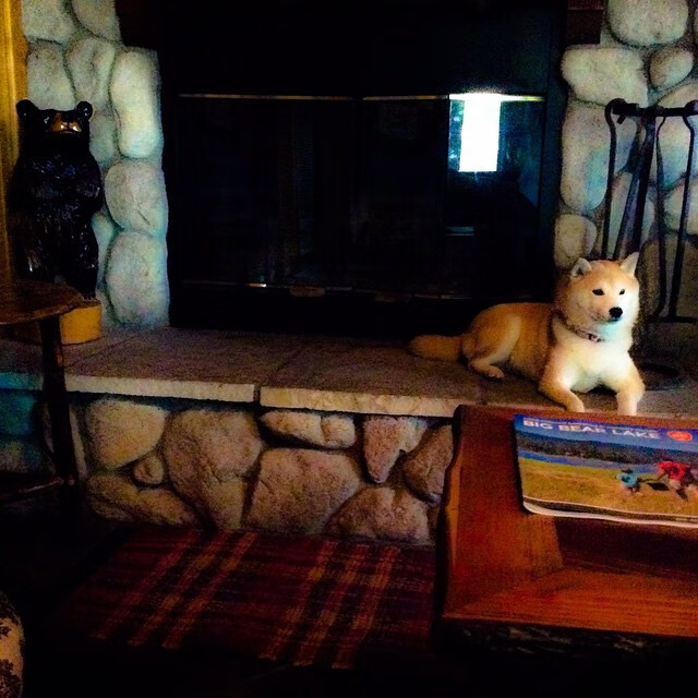 瑞士队后卫佩雷斯在巴黎奥运会上表现出色,ufc佩雷斯