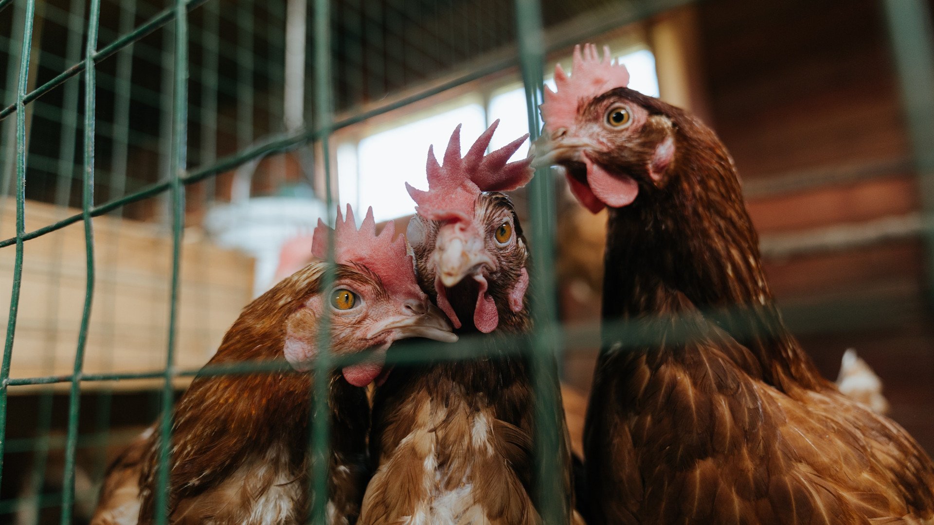 AYX体育官网-经典逆袭：那些令人震惊的逆风翻盘战役，电影逆风翻盘