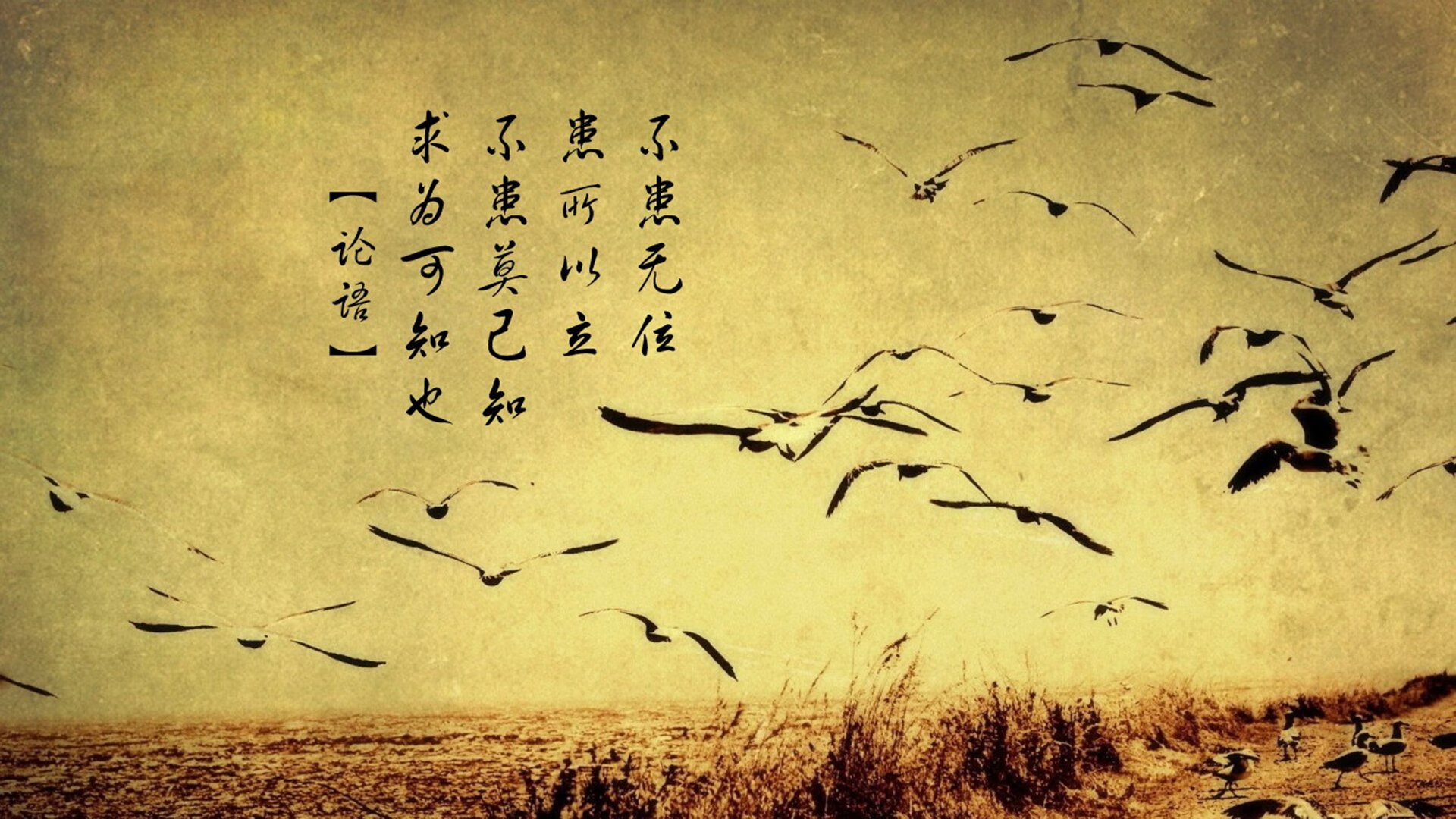 爱游戏体育（AYX）官方APP下载-美国队在巴黎奥运会比赛中多次通过二次进攻得分，美国队奥运会重赛