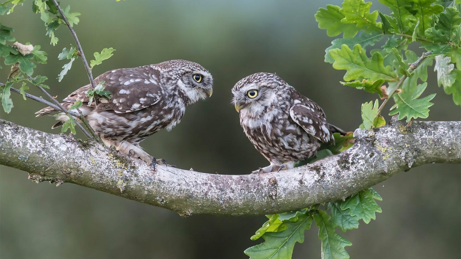 爱游戏体育官方网站-青少年“梦想之星”训练营在北京全面升级，培养未来领军人才，第七届梦想星青少年艺术特长生