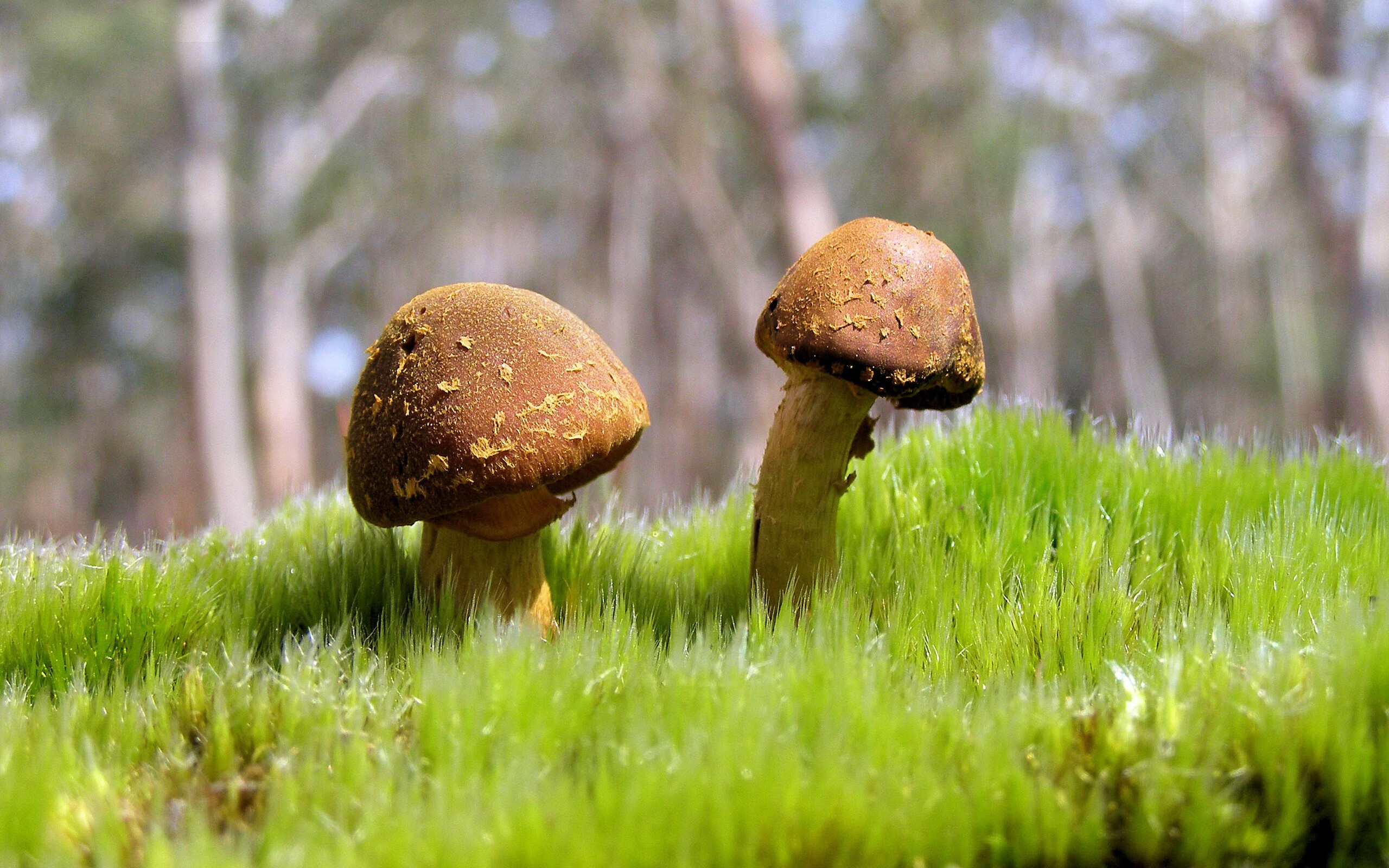 AYX体育官网-亚洲球队主帅谈未来发展规划，足球亚洲球员