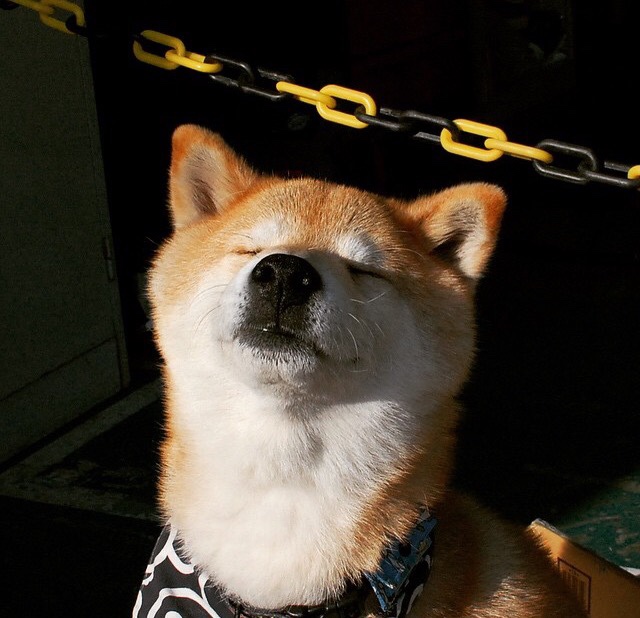 AYX SPORTS-内马尔加盟利雅得新月引发热潮，内马尔亚军