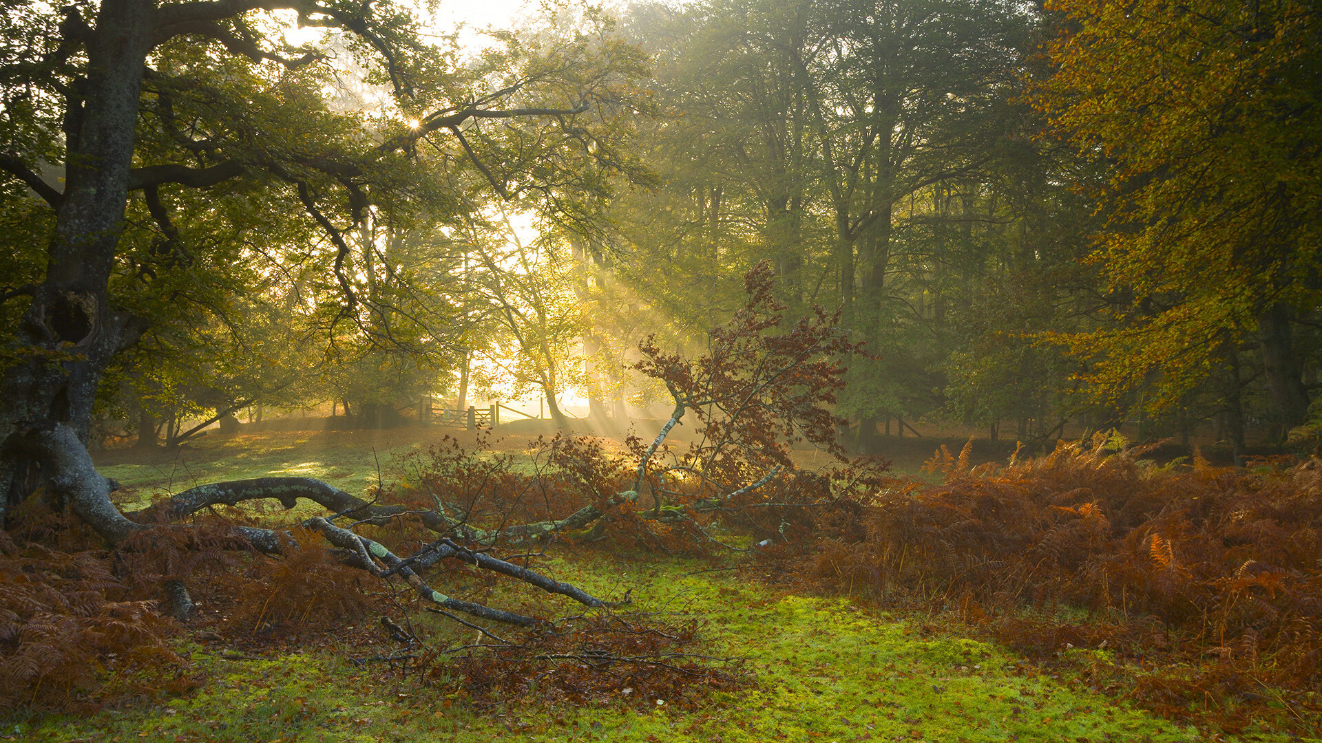 AYX SPORTS-国家队篮球技战术研究中心建设，篮球国家队训练基地