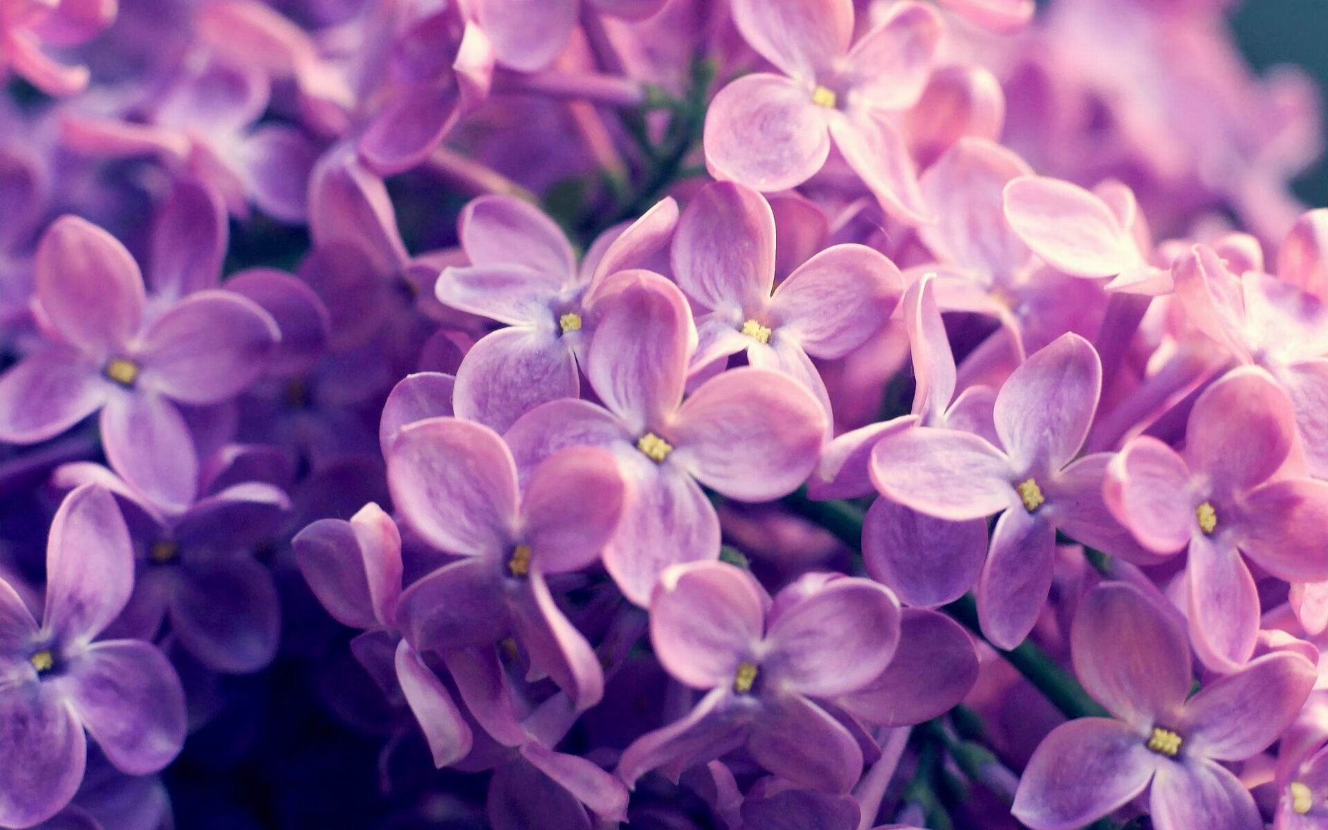 AYX体育-法甲球队士气高涨，备战下一轮比赛，2021法甲球队