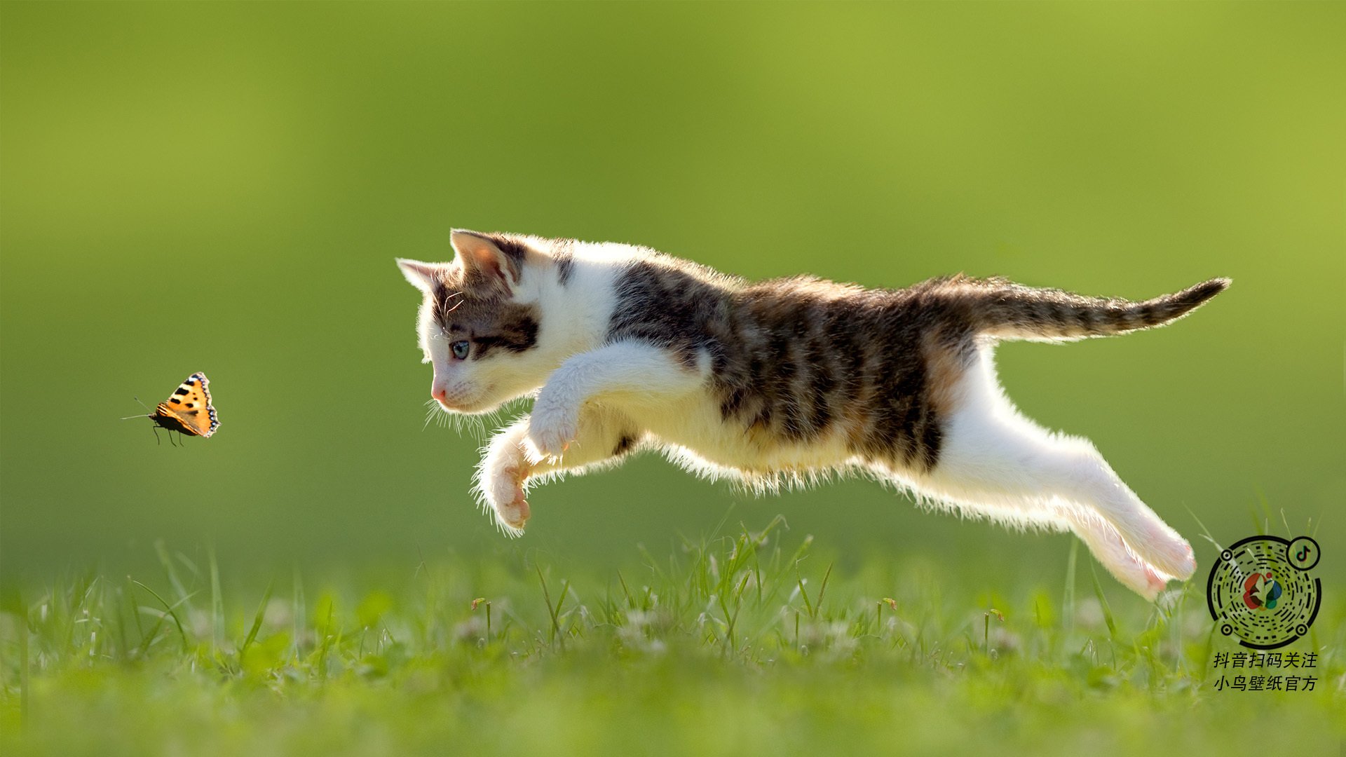 热刺主场逼平阿森纳,争夺欧冠席位,热刺对战阿森纳