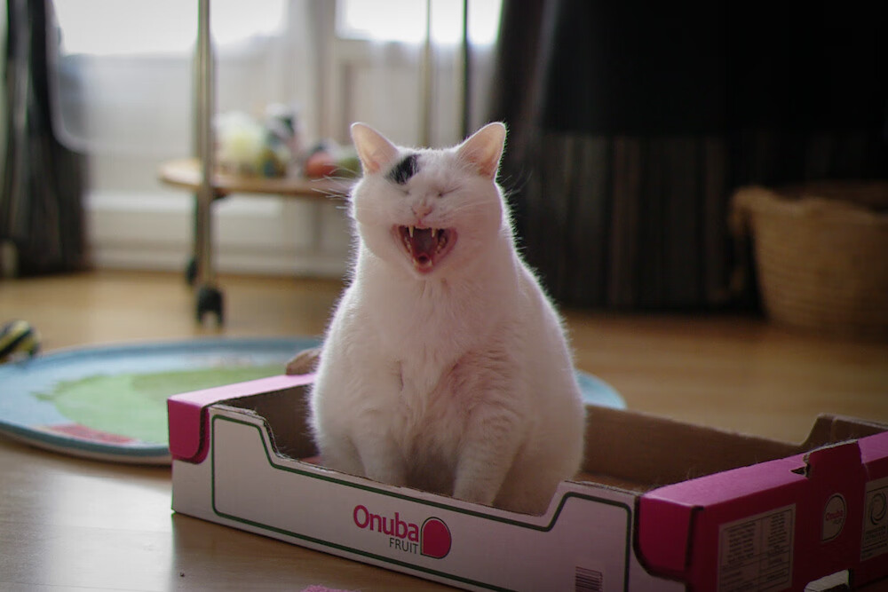 球员交易风声鹤唳,球队成绩不稳定,球员交易市场