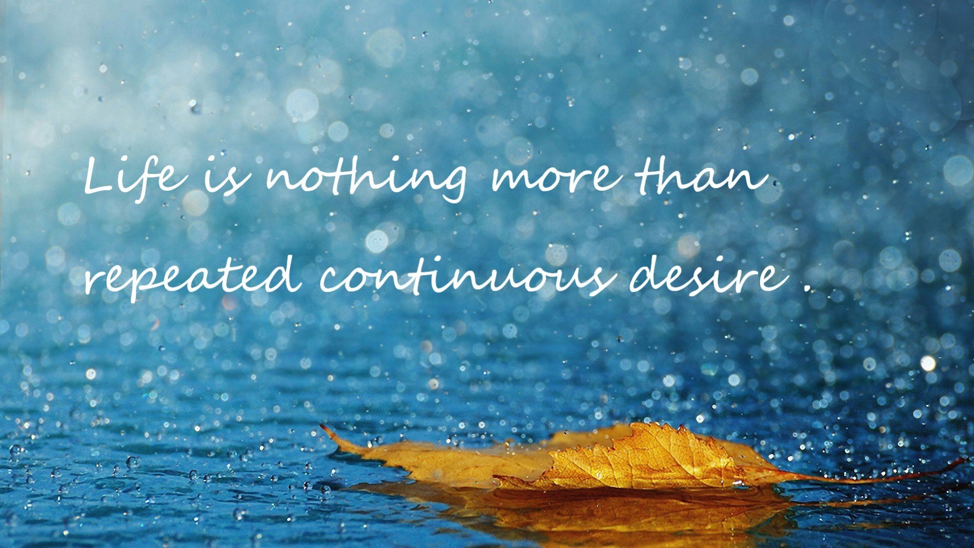 联盟是否应支持球员投身社会治理领域