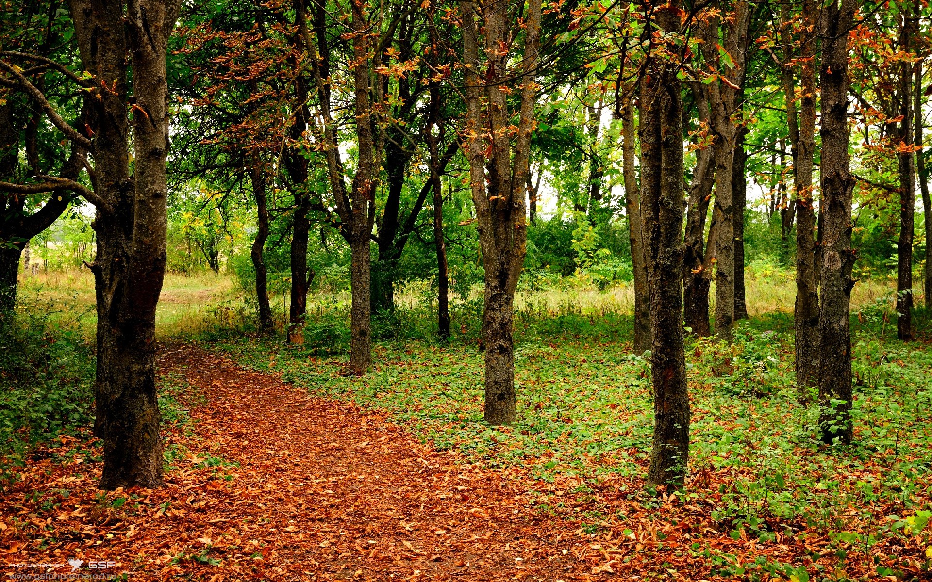 西班牙联赛赛程调整引关注,西班牙地区联赛