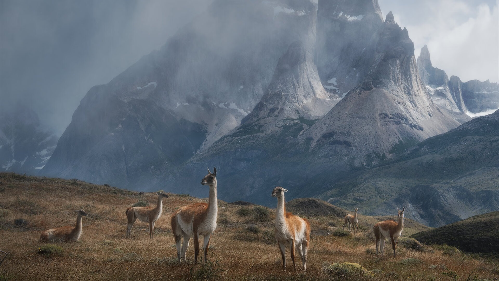 AYX官网-阿森纳新援马丁艾利弧线球破门，帮球队反超比分，阿森纳前锋马丁内利