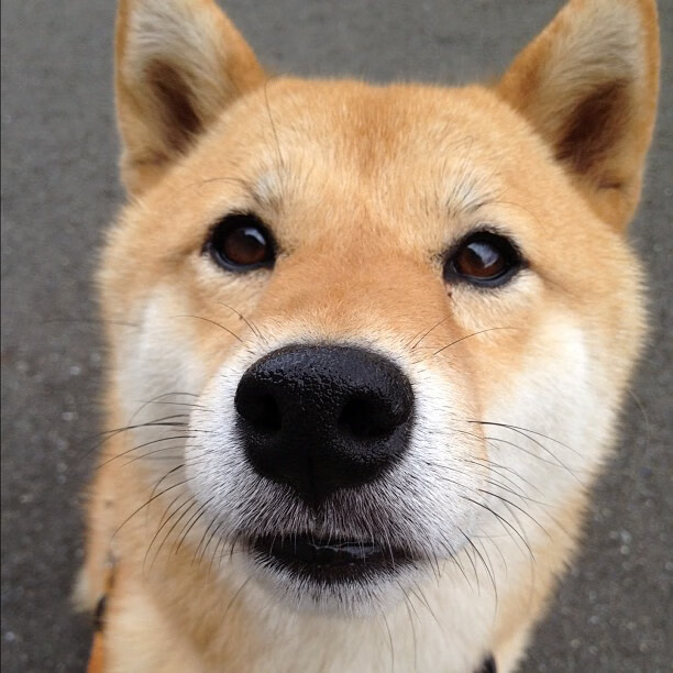 中国篮球青少年篮球推广活动效果评价与改进策略,篮球推广方案