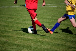 AYX GAME-中超球员比赛热度曲线与表现匹配模型，中超热身赛