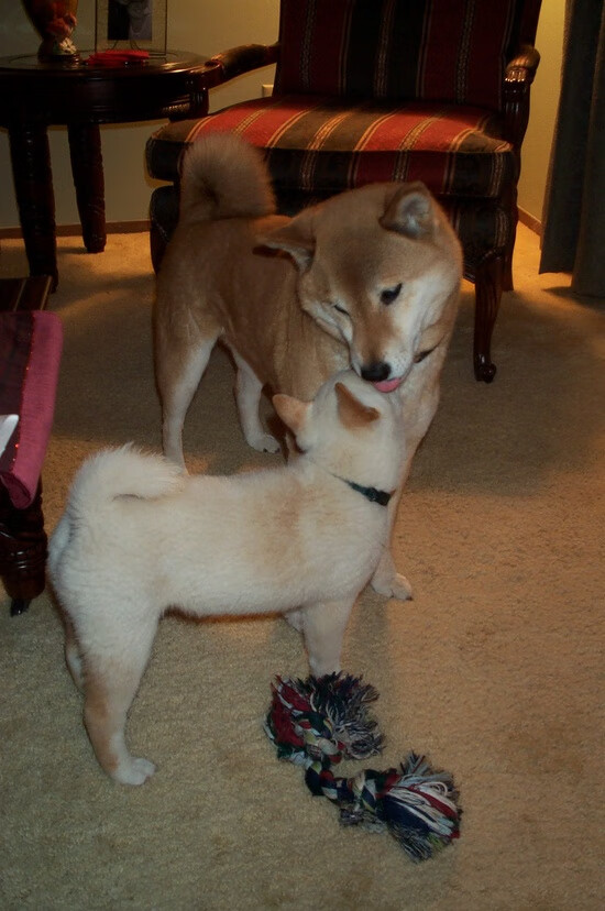 篮球运动员比赛焦虑管理与干预方法,篮球比赛运动员注意事项