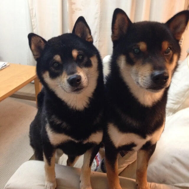 -五大联赛防守球员出球能力影响球队控球质量，球队防守效率高好还是低好