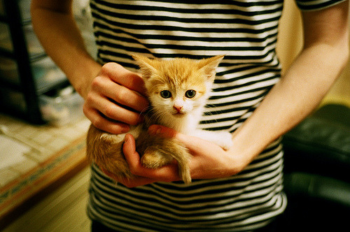 爱游戏下载-中国足球职业联赛优化球队临场指挥沟通工具，足球队伍比赛