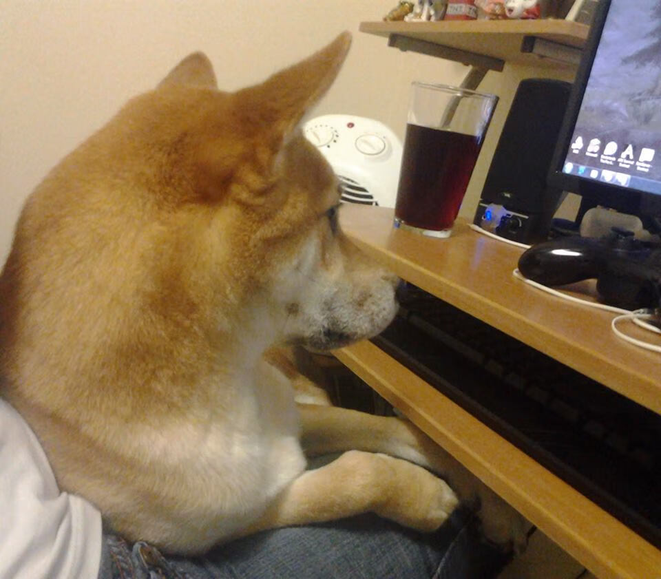 体育新闻中心通报全国自由搏击赛事裁判培训班安排,全国自由搏击锦标赛比赛规则