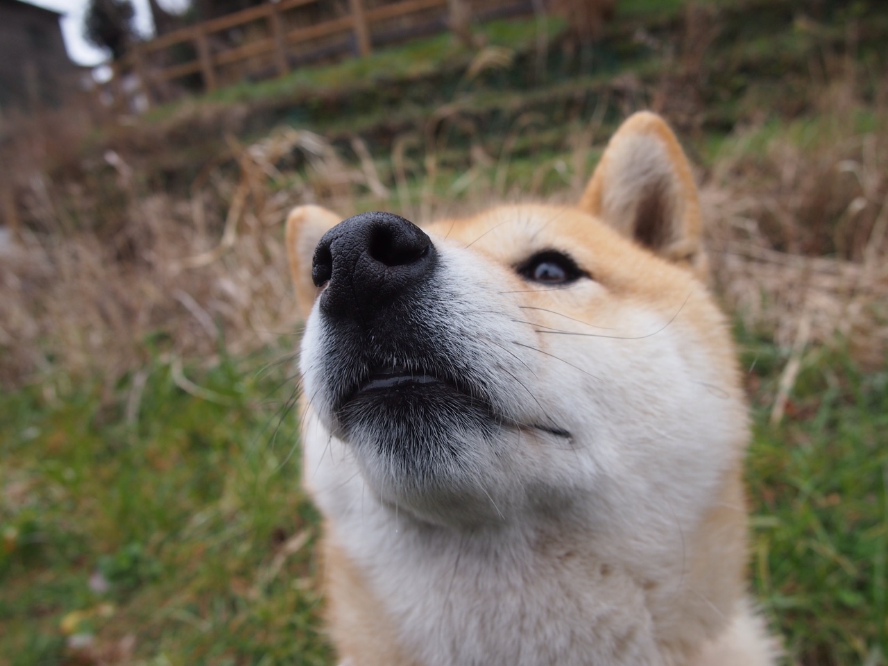 爱游戏体育app-凯蒂·莱德基800米自由泳赛场魅力四射，莱德基自由泳水下全镜头