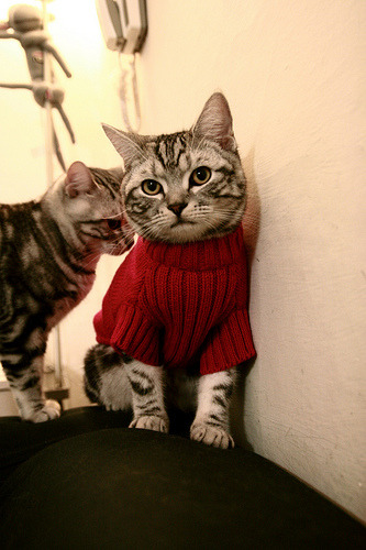 新西兰全黑队通过高效反击迅速拉开比分差距,新西兰全黑队服