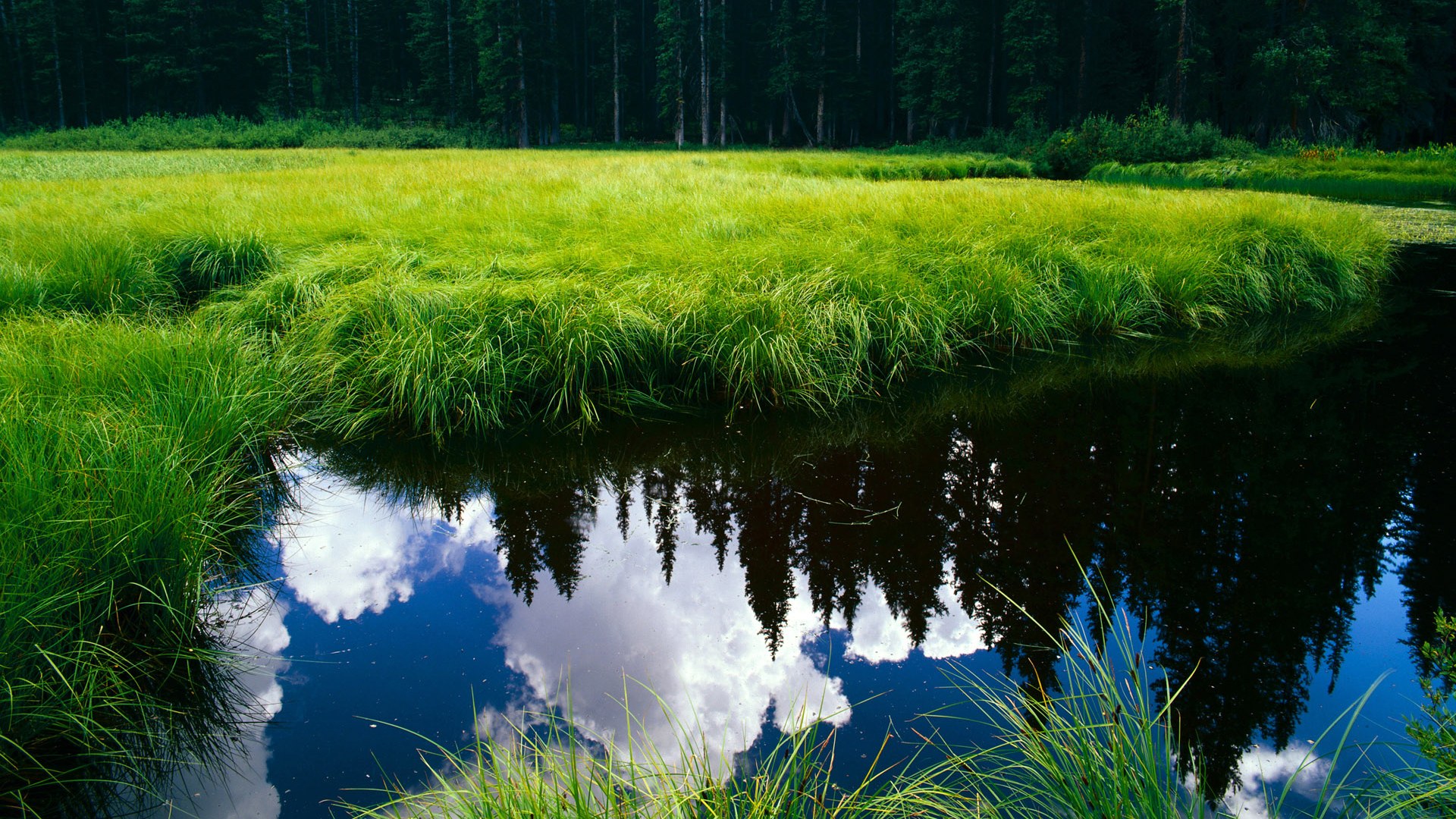 朱婷称团队默契源自日常相处细节,朱婷团队言论
