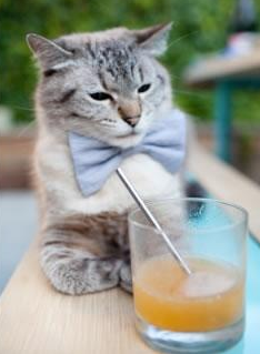 欧洲杯变阵奇兵:战术灵活,精彩不断!,70秒还原欧洲杯惊魂瞬间