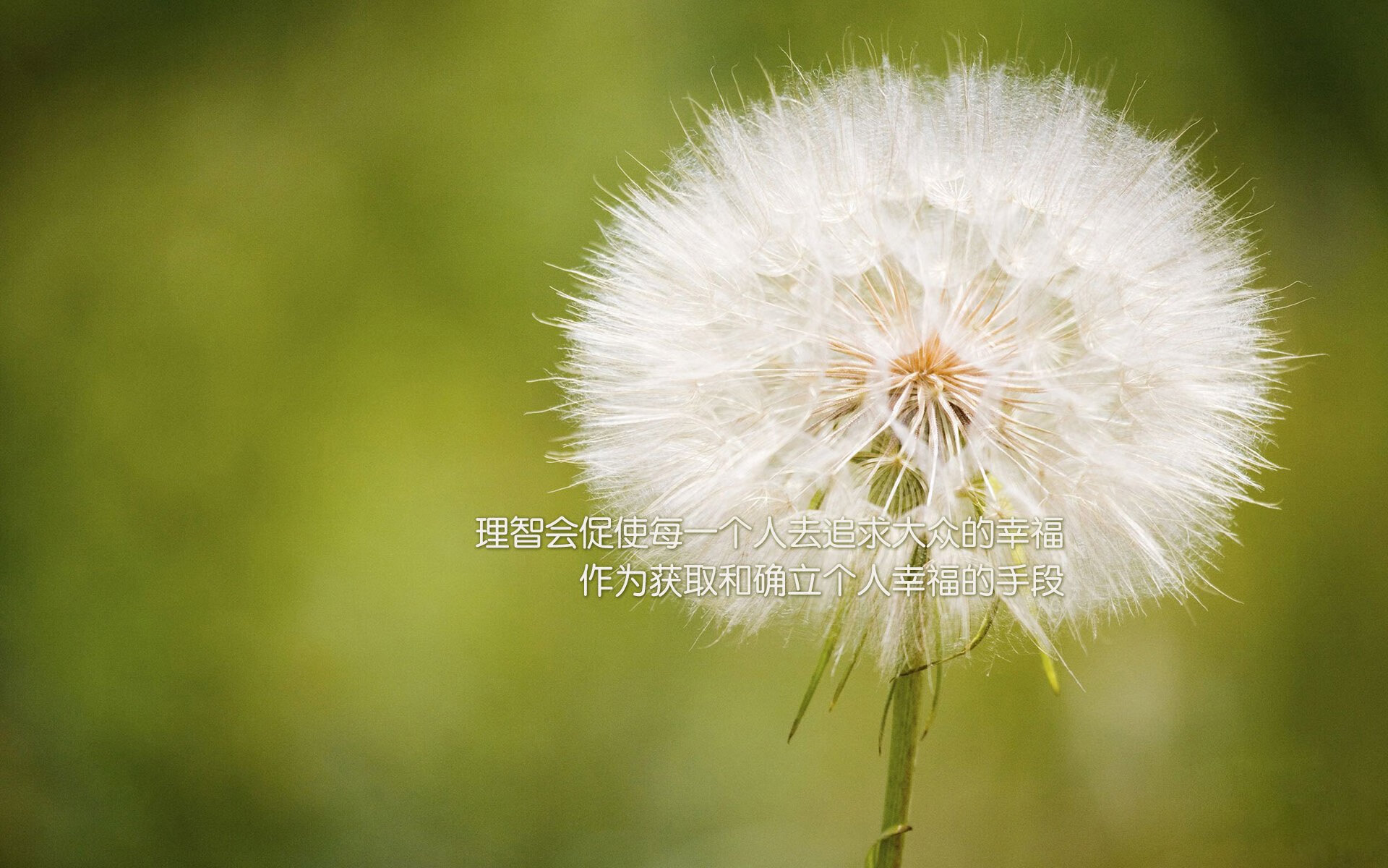 米切尔强势复出爵士球队重返前八,爵士米切尔复出时间