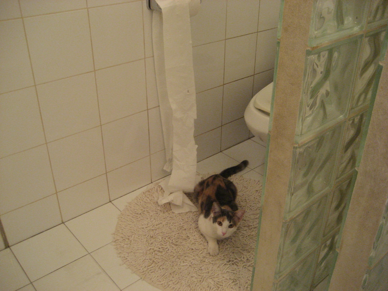 虚拟现实足球训练课程在全球多国启动,青训科技化新风潮,什么是虚拟足球