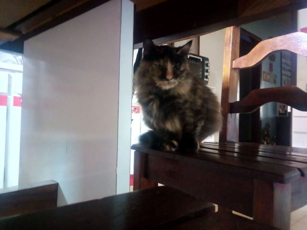 爱游戏体育APP下载-赛季目标清晰明确主教练强调稳扎稳打不轻视任何一个对手，赛季目标怎么写