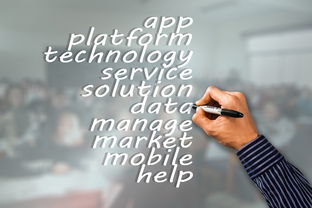 爱游戏体育官方在线-瑞典队未来：如何建立更具竞争力的国际品牌，瑞典队分析